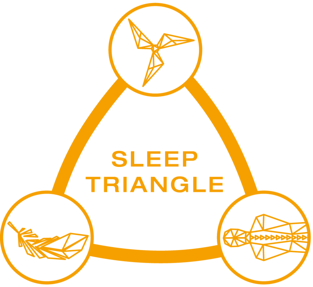 Sleep Triangle